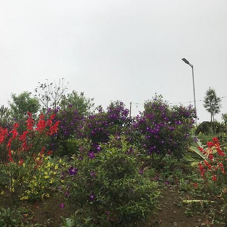Sau Meo Mountain View Hotel Sa Pa Buitenkant foto