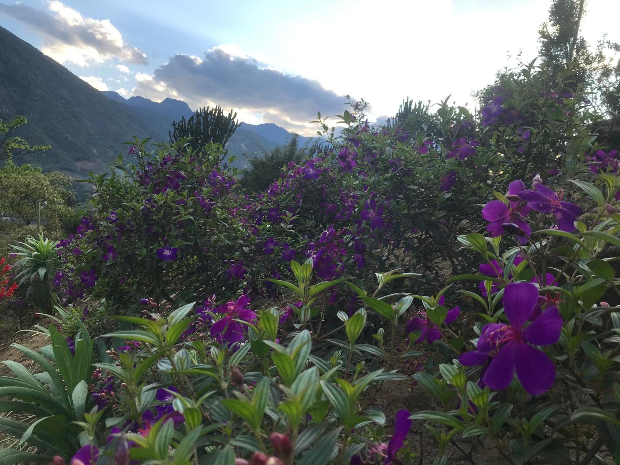 Sau Meo Mountain View Hotel Sa Pa Buitenkant foto